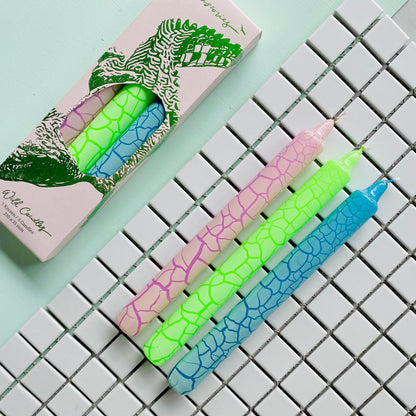 Set of 3 Crocodile Candles – Handmade Dip Dye Design