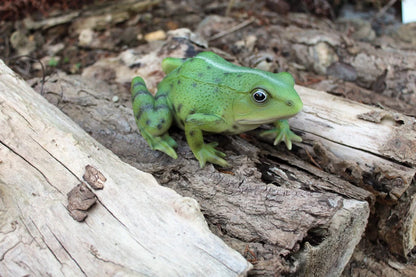Lebensechte Froschstatue Grün – Für Drinnen &amp; Draußen