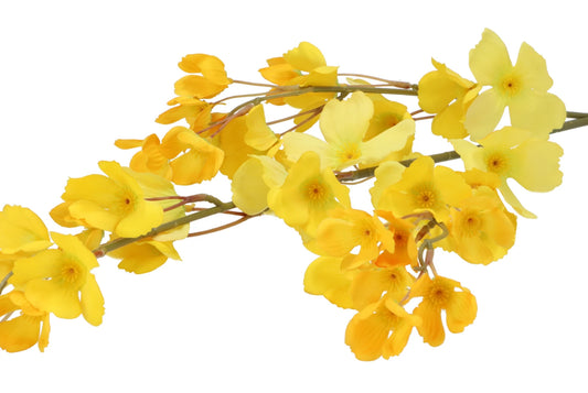 Zijdenbloem Wolfberry geel 106 cm – Krokomingo