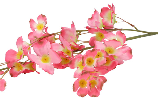 Zijdenbloem Wolfberry roze 106 cm – Krokomingo