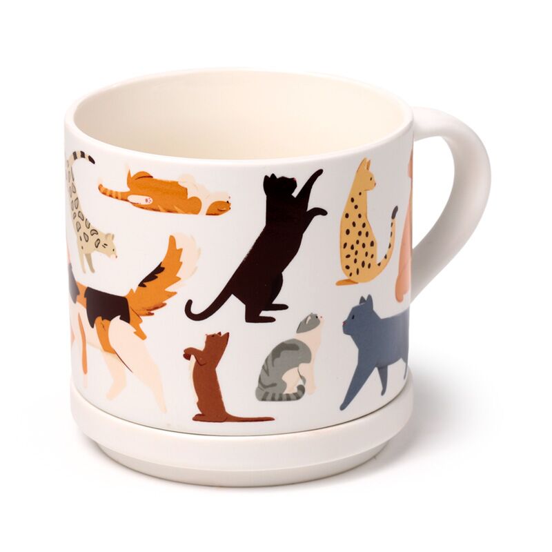 Porcelain Cat Mug with Lid – Cheerful &amp; Practical
