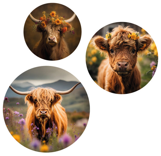 Muurcirkel set van 3 met Schotse Hooglanders op forex in natuurlijke tinten – Krokomingo