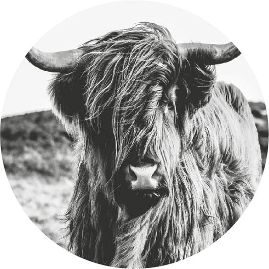 Zwart-witte muurcirkel Schotse Hooglander op forex – 30 cm – Krokomingo