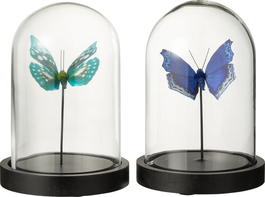 Vlinder in glazen stolp van J-Line – turquoise of blauwe variant op zwarte voet – elegante woondecoratie met botanisch tintje