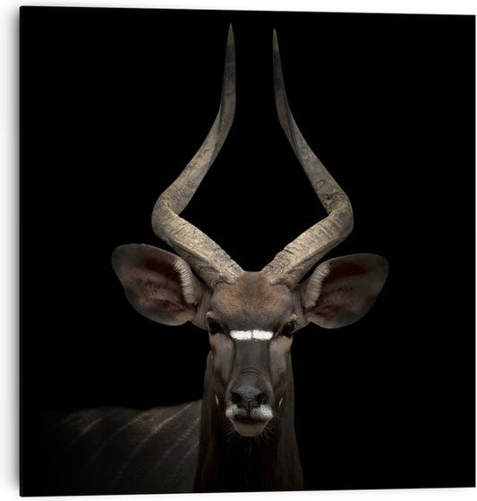 wanddecoratie poster antilope mdf 30x30 cm
