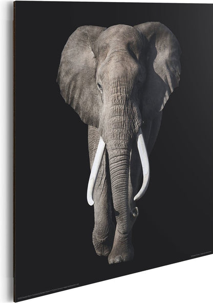 Wall Decoration Poster Elephant – MDF – 30x30 cm