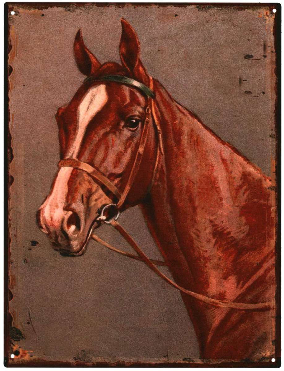 Metalen wandplaat met paardenhoofd – vintage rustieke decoratie 25x33 cm