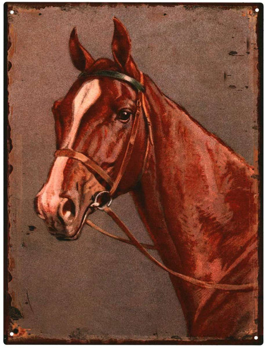 Metalen wandplaat met paardenhoofd – vintage rustieke decoratie 25x33 cm
