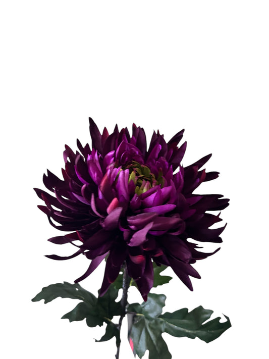 Colmore zijdenbloem chrysant wijnrood-paars 81 cm – Krokomingo