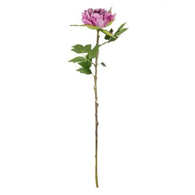 Colmore zijdenbloem roze pioenroos 65 cm – Krokomingo