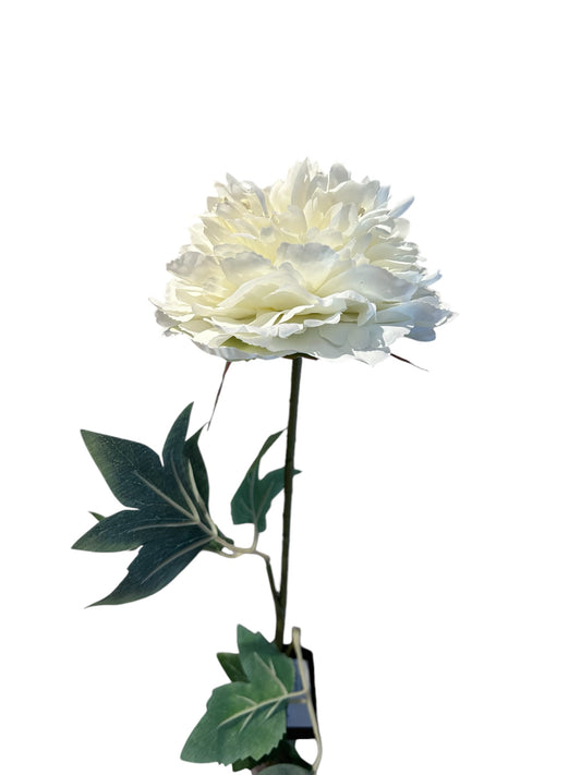 Colmore zijdenbloem pioenroos wit 79 cm – Krokomingo